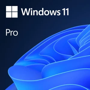 Windows 11 Pro - OEM